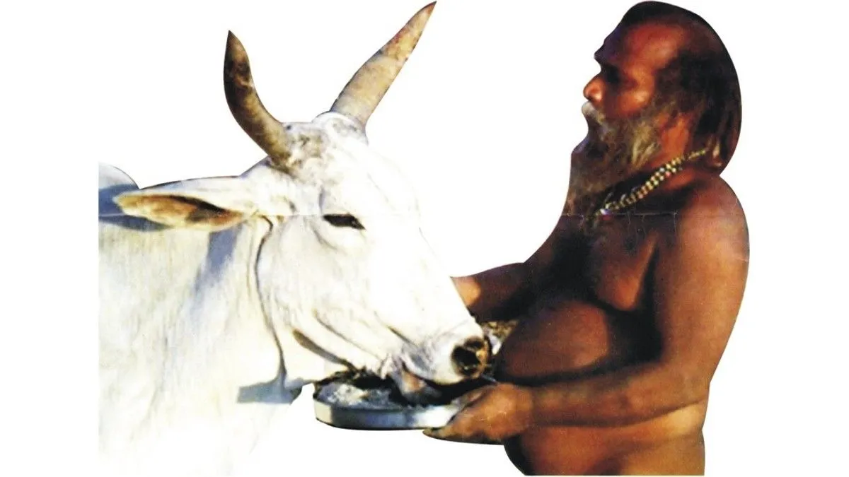 Sant Shri Digambar Naga Baba